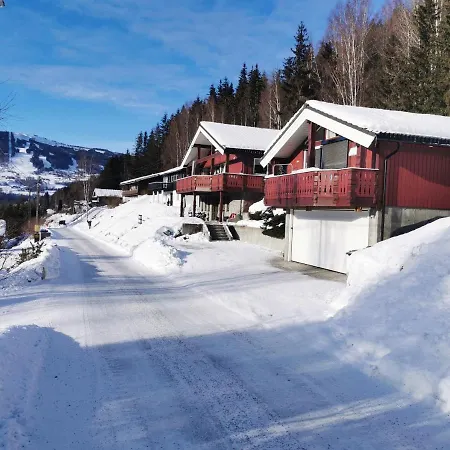 Trivelig Moblert Leilighet - Apartment Gol